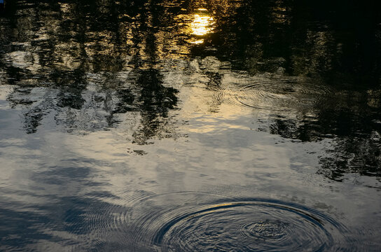 Reflection in the water