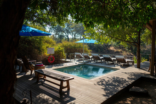 Swimming pool area at a safari camp.