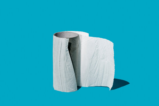 finished toilet paper roll