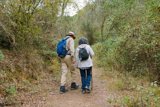 Couple hiking in forest