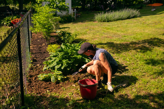 woman gardening on sunny day in her backyard