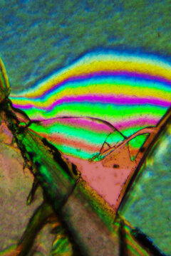 Micrograph of peridotite