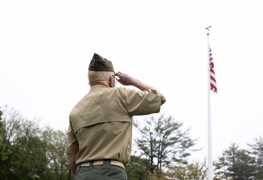 Veteran American remember Flag honor  salute rear view 