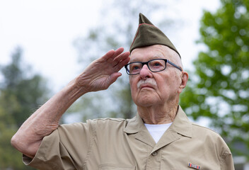 Senior Citizen military man Veteran salute Portrait  war memorial 