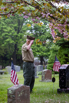 Veteran American remember Flag honor salute at grave cemetery