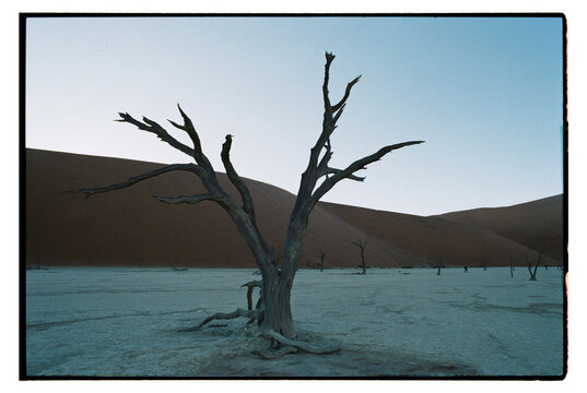 Deadvlei landscape