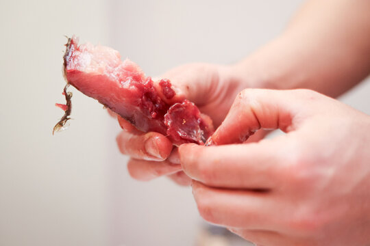 Anonymous hands evicting red flesh fish closeup