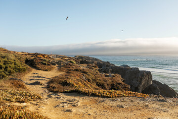 landscape of a lighthouse by the sea