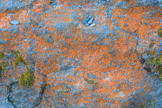 colorful old rock surface