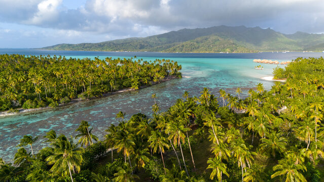 Aerial view of the beautiful tropical island Taha'a in French Polynesia, The south pacific ocean water is vibrant blue with healthy coral reefs surrounded by lush green palm trees