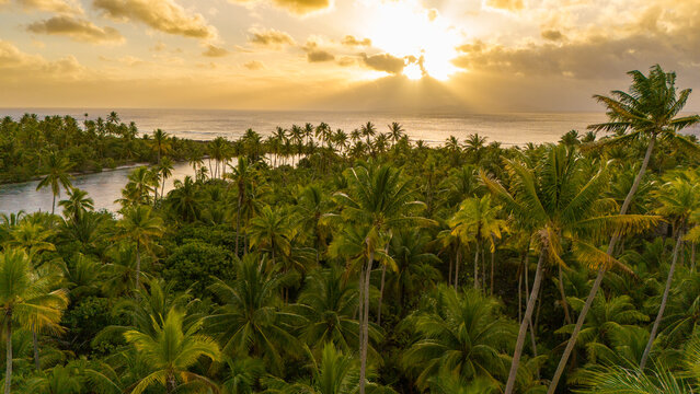 Beautiful sunset in nature over tropical palm trees and an azure lagoon filled with coral reef near the island of Taha'a in French Polynesia. The popular tourist destination is paradise in the Pacific