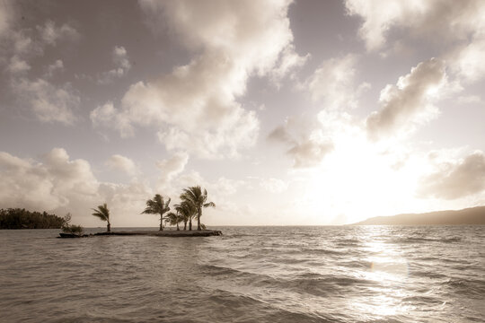 A small tropical island with palm trees in the south pacific ocean near Taha'a in French Polynesia. 