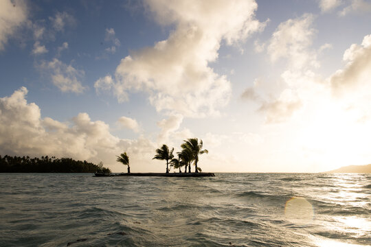 A small tropical island with palm trees in the south pacific ocean near Taha'a in French Polynesia. 