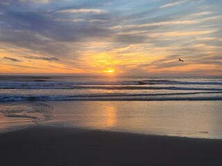 Obraz premium sunset on the beach