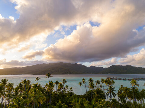 Palm trees seen on tropical island Taha'a near Bora Bora in French Polynesia. The beautiful paradise is surrounded by South Pacific azure ocean sea water. 