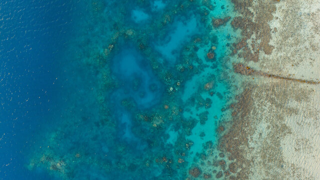 Aerial view of vibrant and healthy coral reef surrounding the tropical French Polynesian island Bora Bora. The reef is filled with colorful fish including sharks, sting rays, and manta rays.