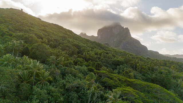 Mount Otemanu seen on tropical island Bora Bora in French Polynesia. The iconic volcano is a dramatic tourist destination in paradise. 