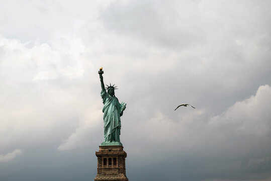  Statue of Liberty and a seagull against a Cloudy sky