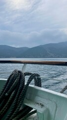 boat cruise in japan at the base of Mt Fuji