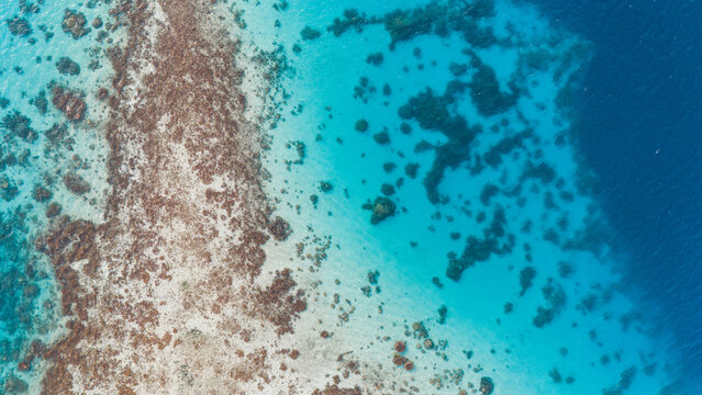 Aerial view captured by drone over clear azure South Pacific Ocean water off the coast of tropical island Bora Bora in French Polynesia. Vibrant coral reefs can be seen in colorful blue turquoise. 