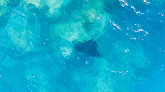 Aerial view by drone of endangered species manta ray swims in clear blue ocean water off the coast of Bora Bora in French Polynesia. 