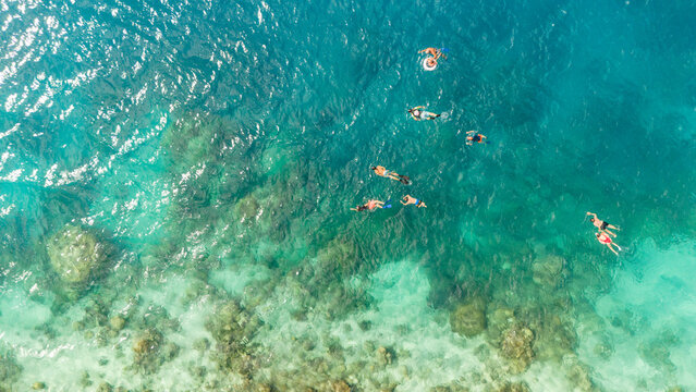 Snorkelers snorkel above clear south pacific ocean water around the tropical island Bora Bora as they watch endangered species Manta Ray swim under the sea. Drone view. 