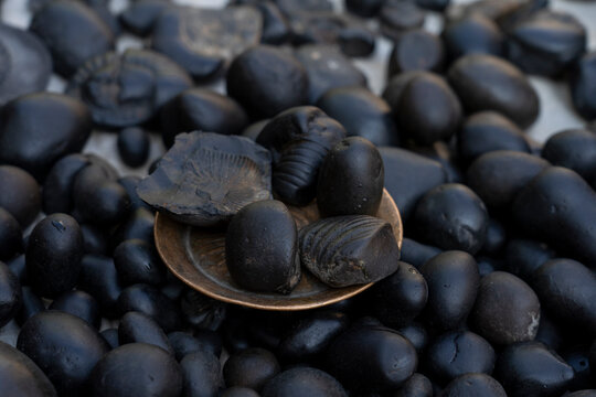 Shaligram stones
