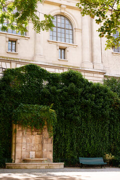Bench and fountain in Paris