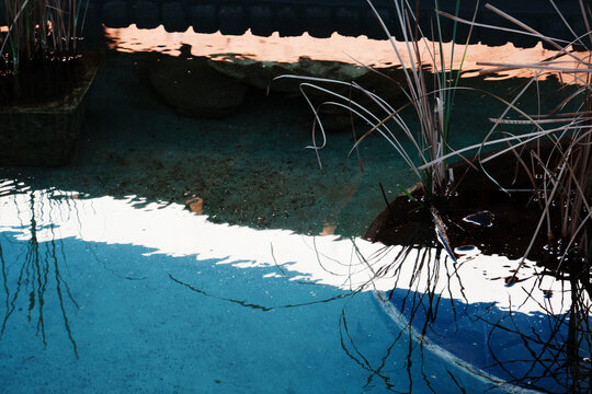 Water with reflection