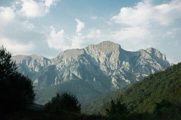Beautiful road among mountains and forests