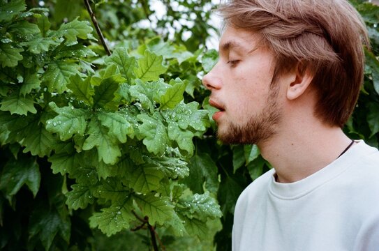 A male portrait outdoor and oak tree