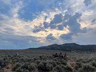 landscape with horses