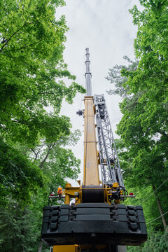 Crane Removing Trees in Forest
