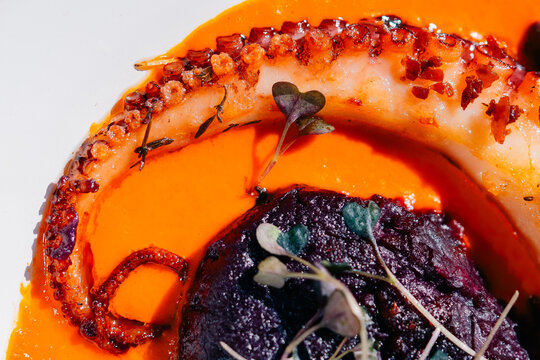 Gourmet Dish with Octopus
