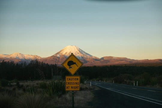 New Zealand road: traffic sign warning of kiwi crossings at night