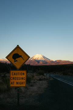 New Zealand road: traffic sign warning of kiwi crossings at night