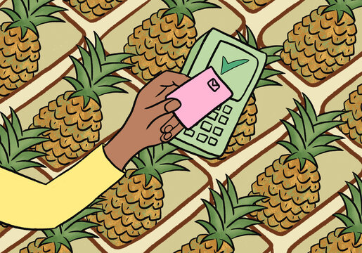Pineapple contactless card payment