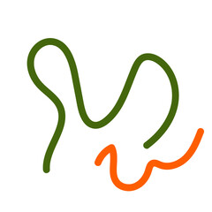 Obraz premium Green orange squiggly lines vectors 