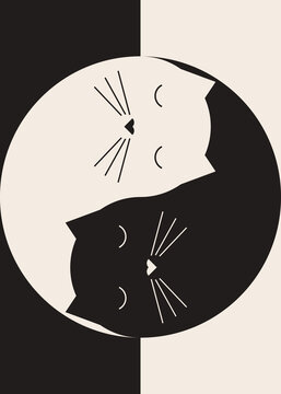 Yin and yang cats