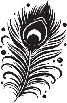 recommend clip art: peacock feather black silhouette vector white background, feather black silhouette vector icon,