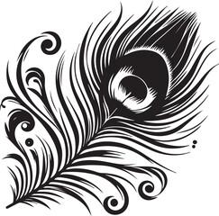 peacock feather black silhouette vector white background, feather black silhouette vector icon,