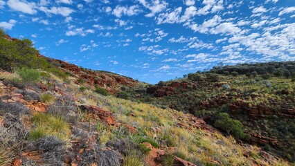 Fototapeta premium Trephina Gorge Nature Park in Northern Territory