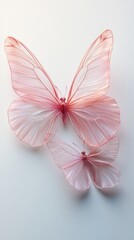 Two Delicate Pink Butterflies on a White Background
