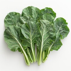 Pile of fresh, vibrant leafy greens with a clean white background.