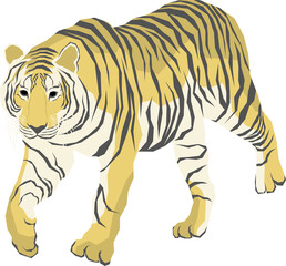 Tiger cartoon illustration