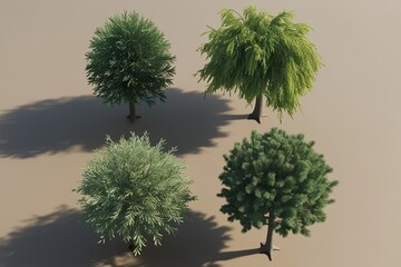 3D Top View Tree Illustration Collection of Pinus Pinaster Willow and Loblolly Pine for Digital Design and Architecture