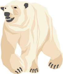 Polar bear illustration