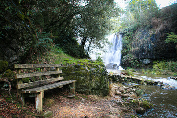 Charming bench nestled in an enchanted forest with a cascading waterfall in Tasmania. The serene...