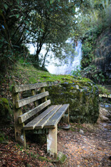 Fototapeta premium Charming bench nestled in an enchanted forest with a cascading waterfall in Tasmania. The serene setting, surrounded by lush greenery and mist, offers a tranquil escape into nature's magic.