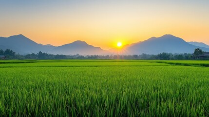 Fototapeta premium A peaceful morning in Nan province, Thailand, with green rice fields and distant mountains, under a clear, bright sky, capturing the essence of rural tranquility